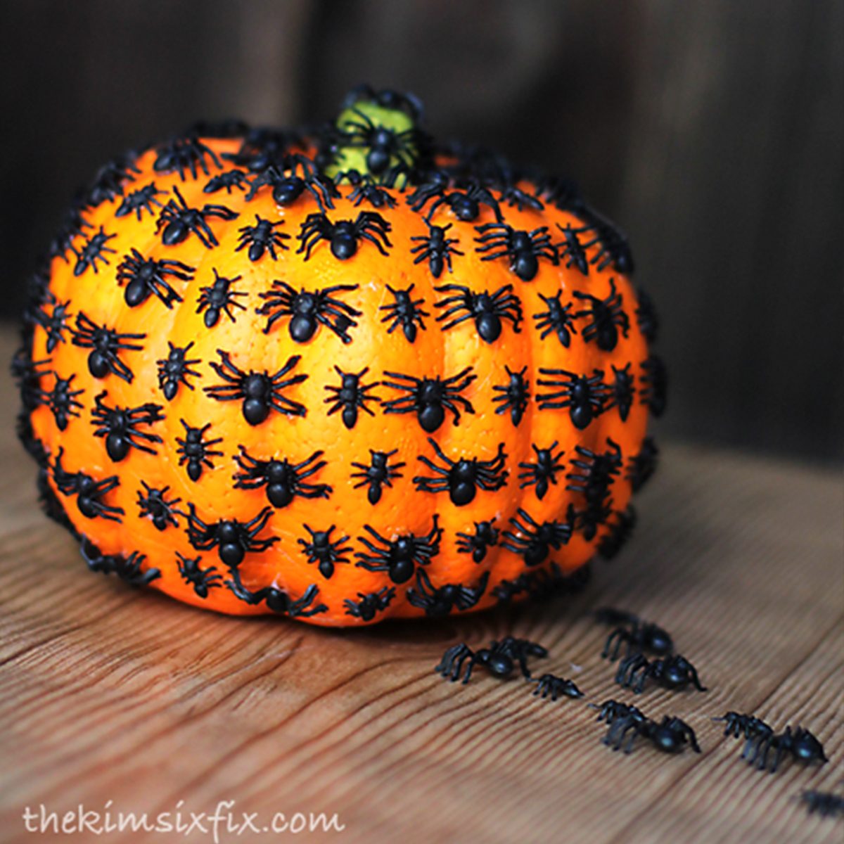 Creepy Crawly Spider Pumpkin Via Thekimsixfix