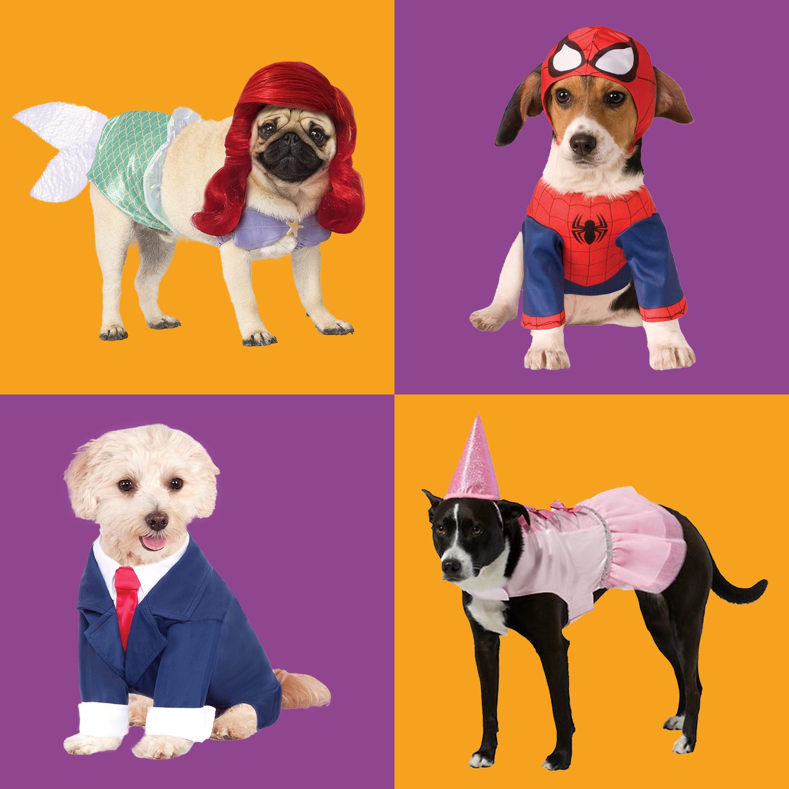 four dog costumes on orange and purple tile background