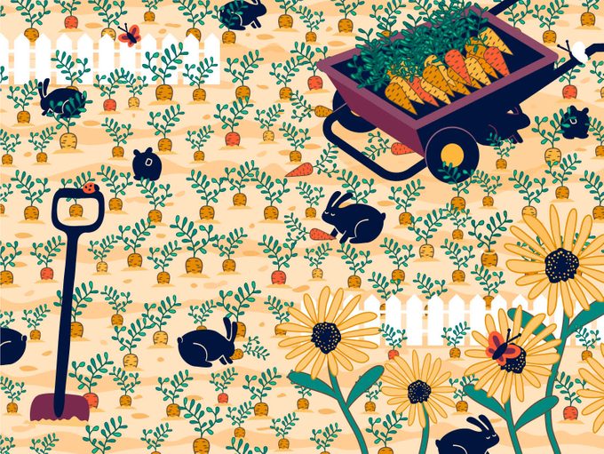 find the ring in the garden visual puzzle