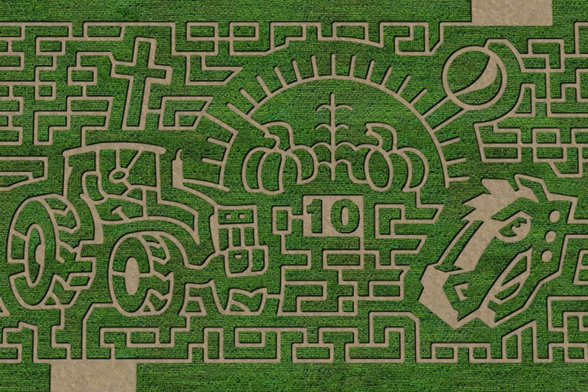 Green Acres Corn Maze In Casper Wyoming