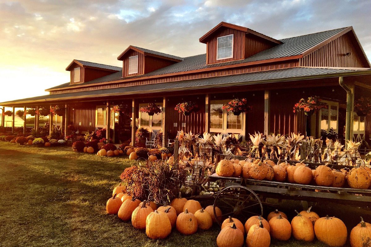 Harvestville Farm In Iowa