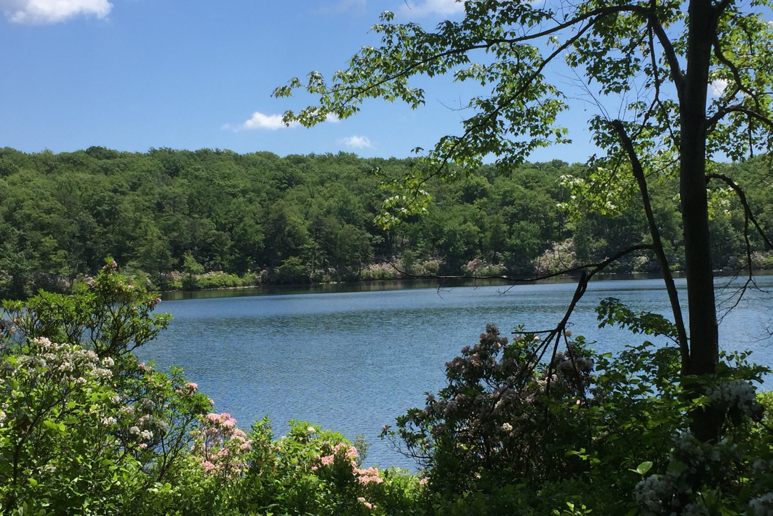 new jersey lake