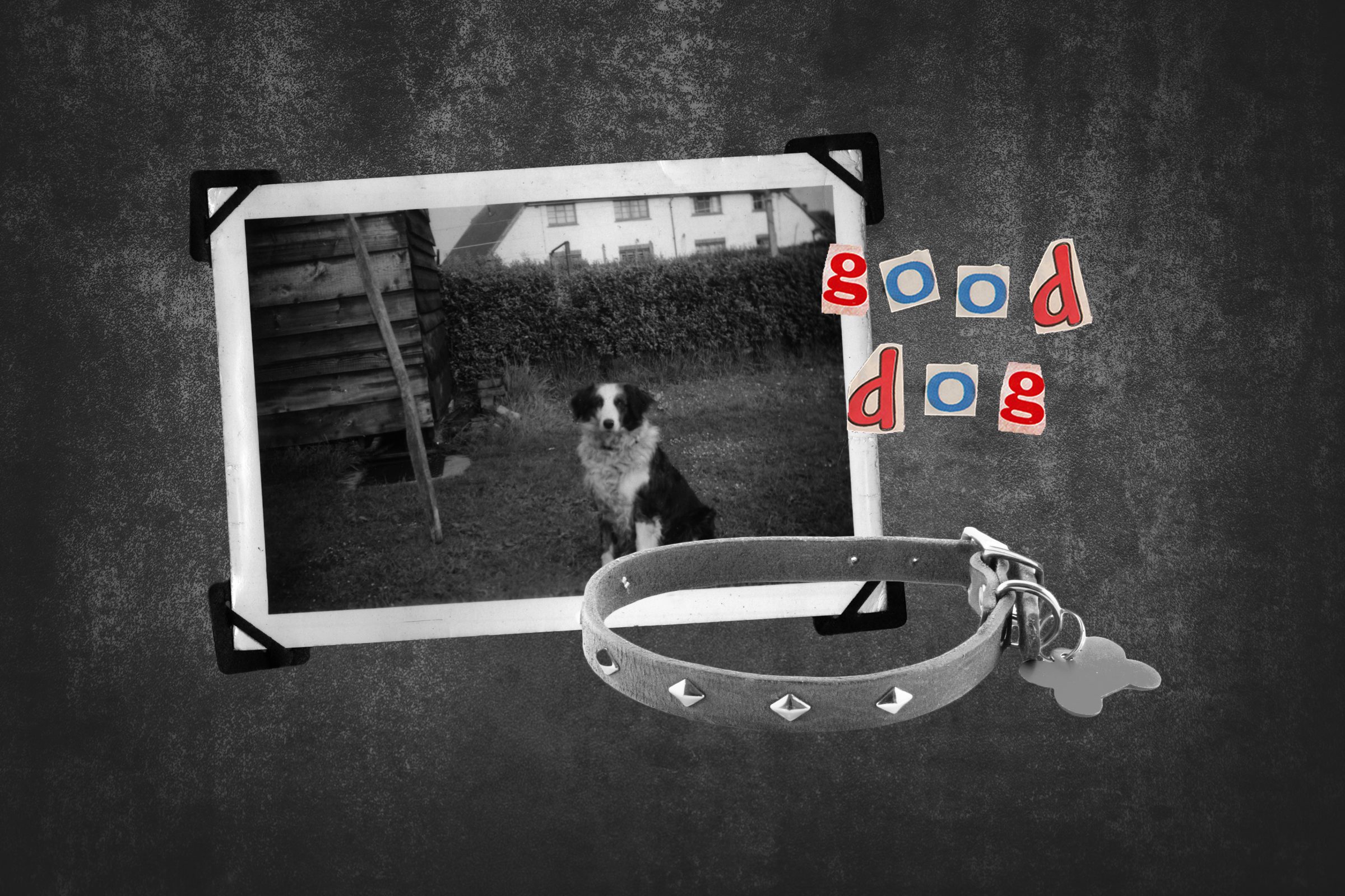 Scrapbook Photo Of Dog With Collar And Text Good Dog