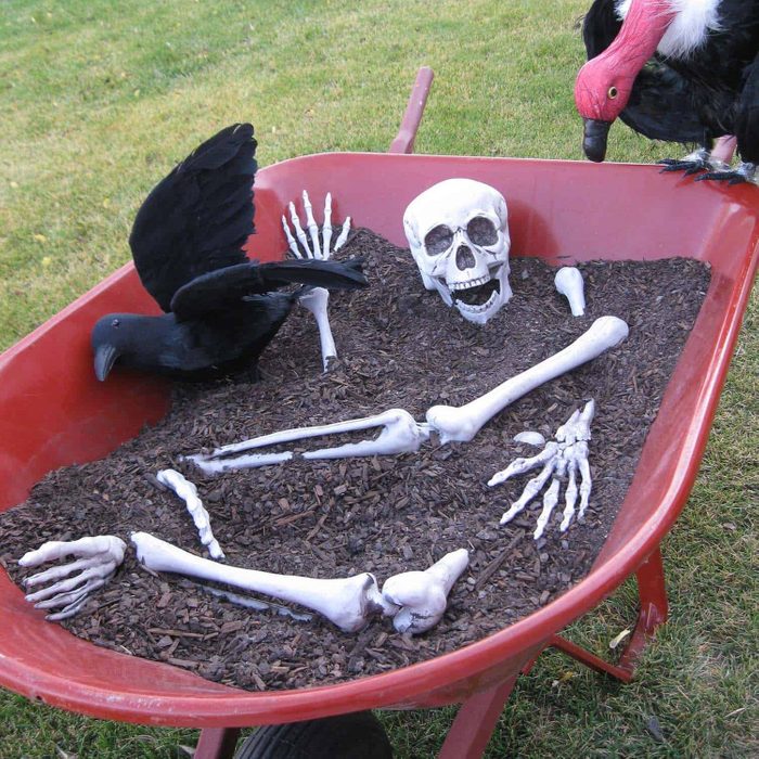 Skeleton Wheel Barrow Decoration