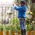 This Is the Best Time to Water Your Plants