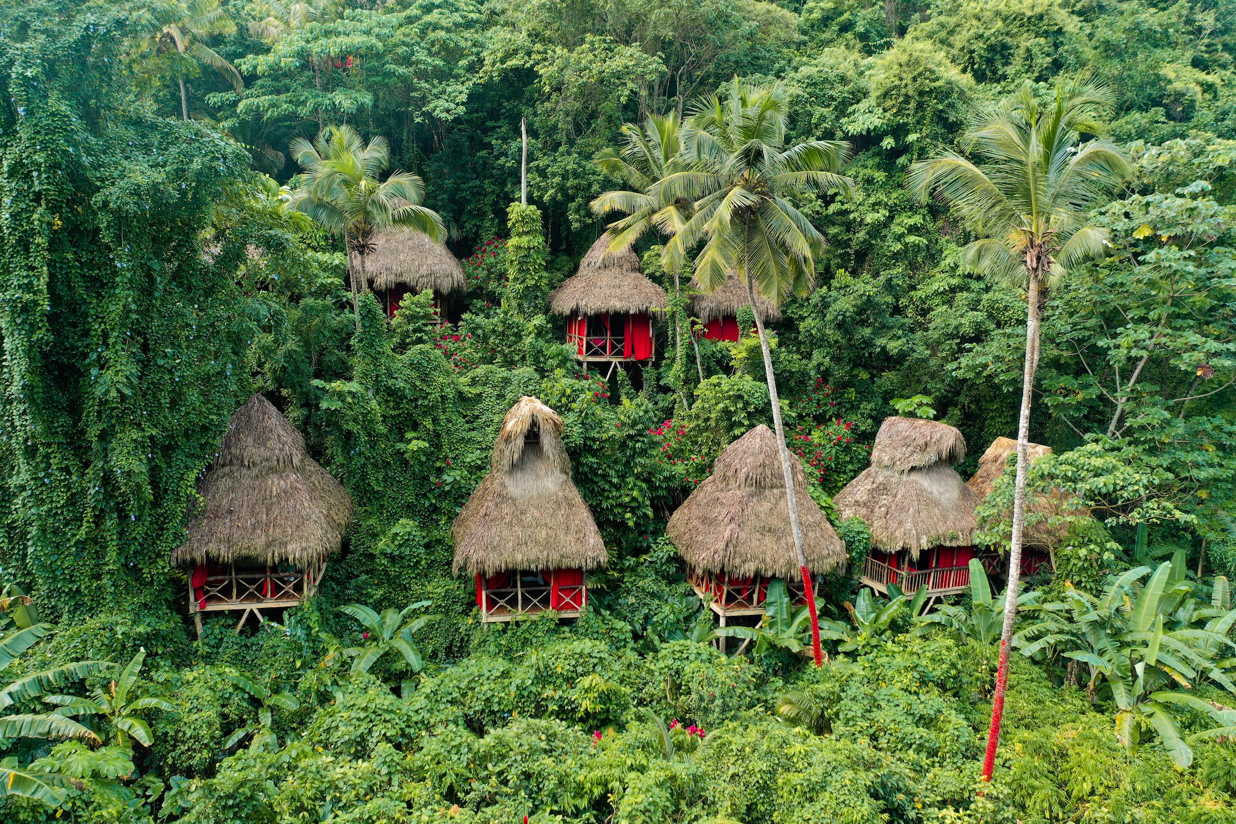 Dominican Tree House Village