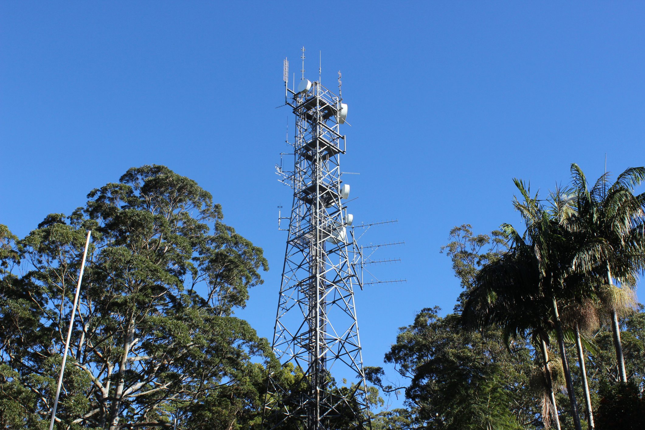 Cell phone tower