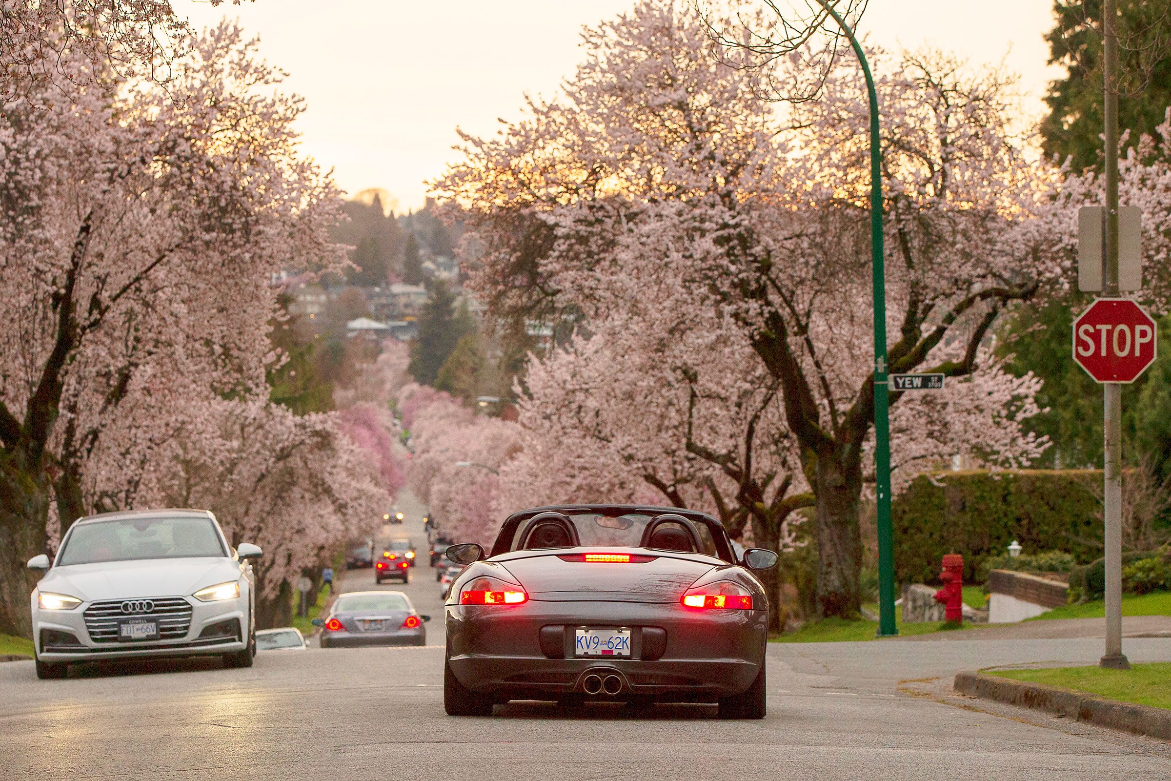 cars at a stop sign