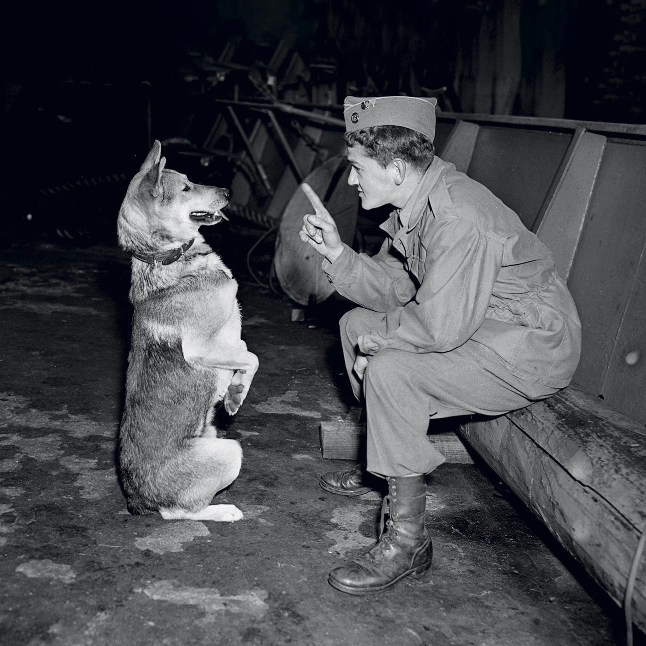 dog with his handler