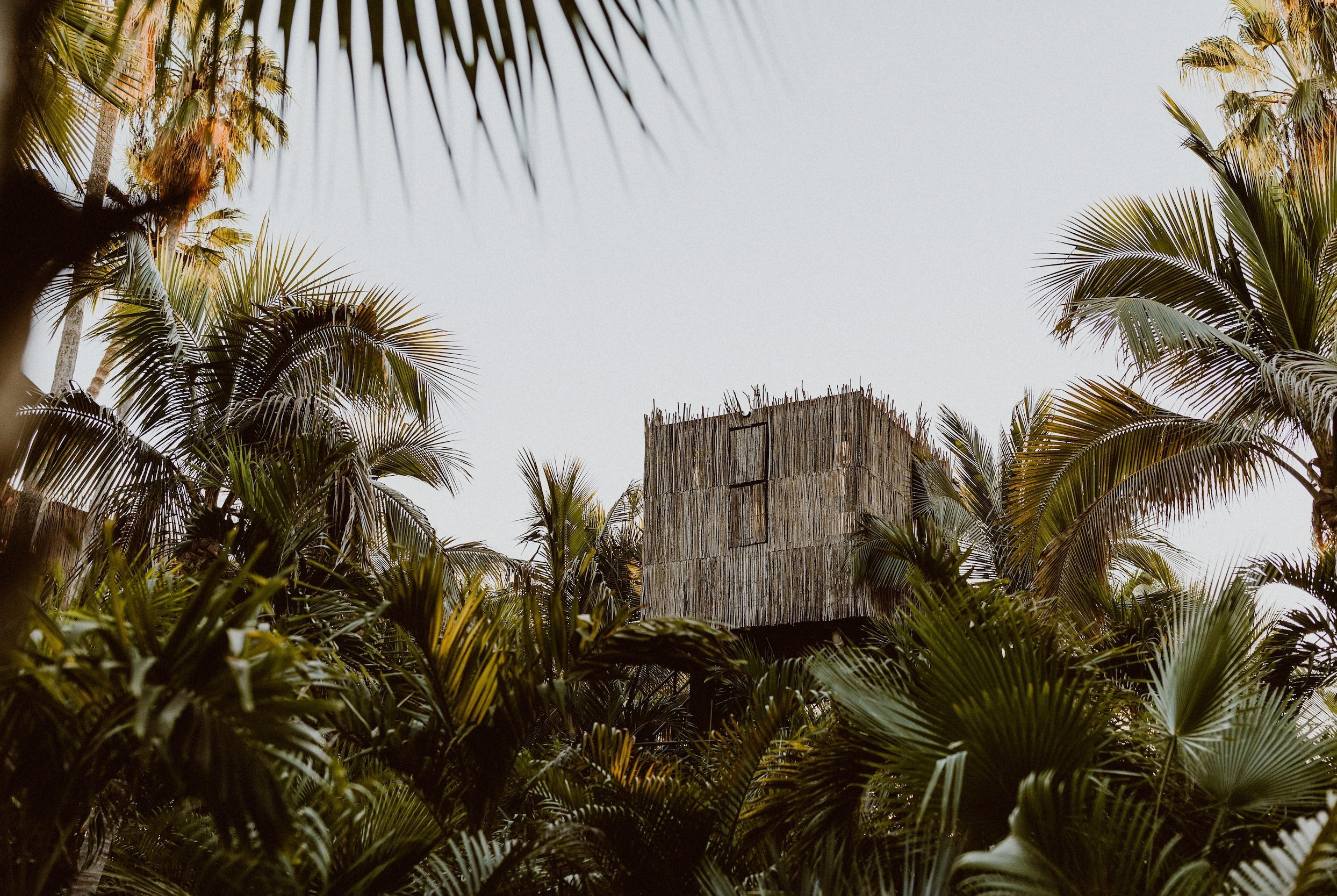 Acre Treehouse Hotel