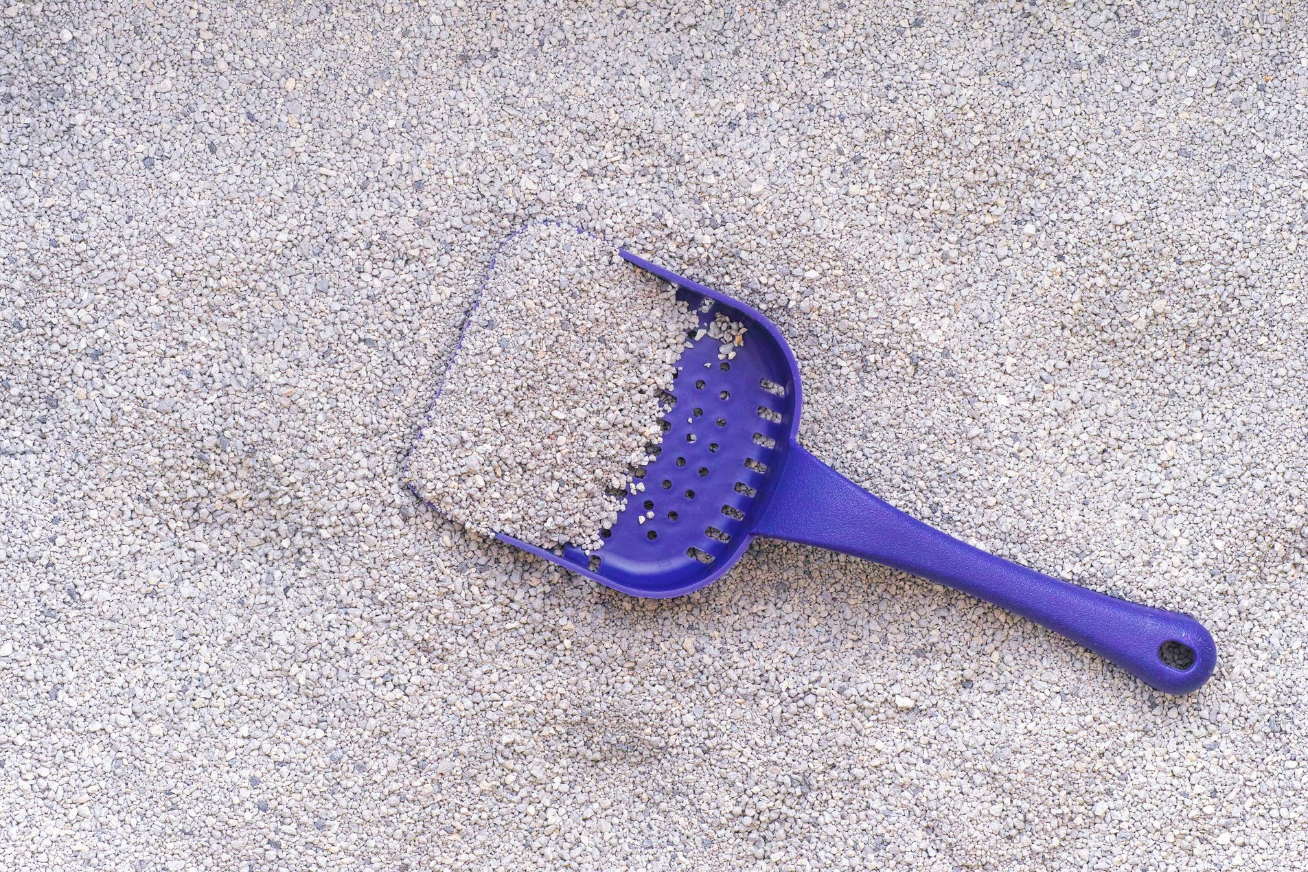 Cat litter with scoop