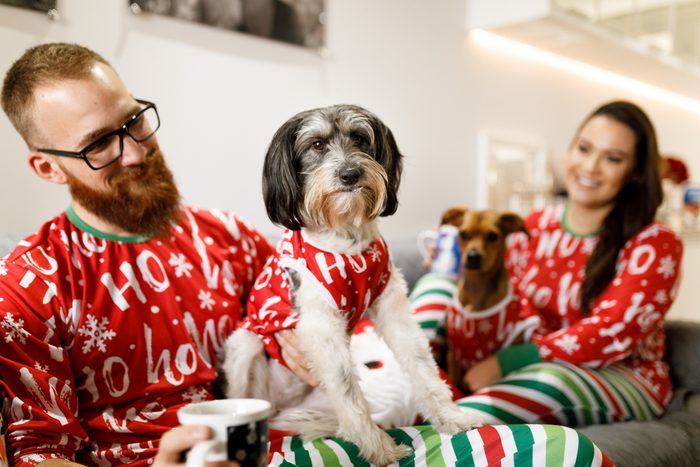 Couple celebrating christmas with dogs on sofa