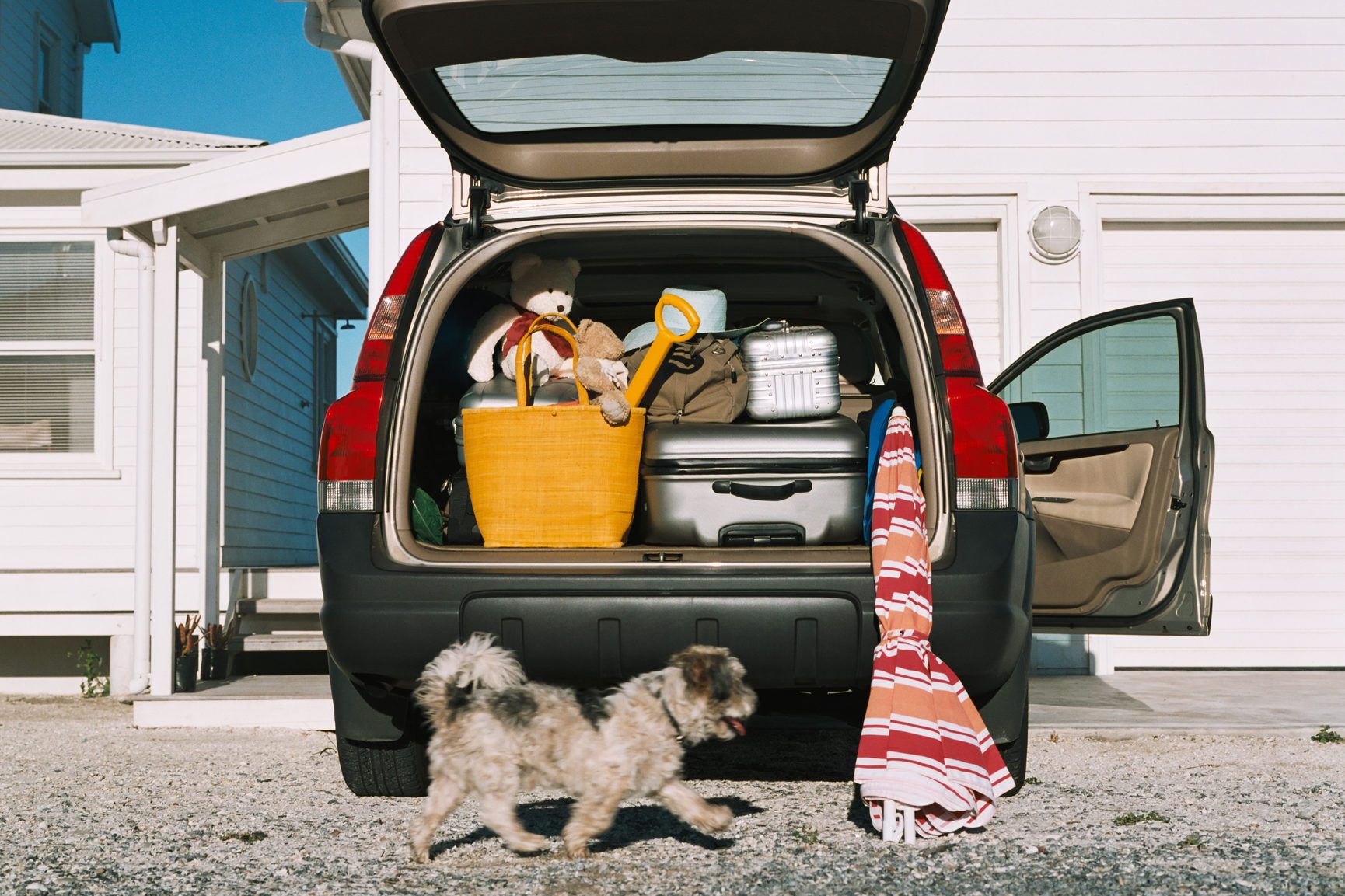 Dog by car full of luggage