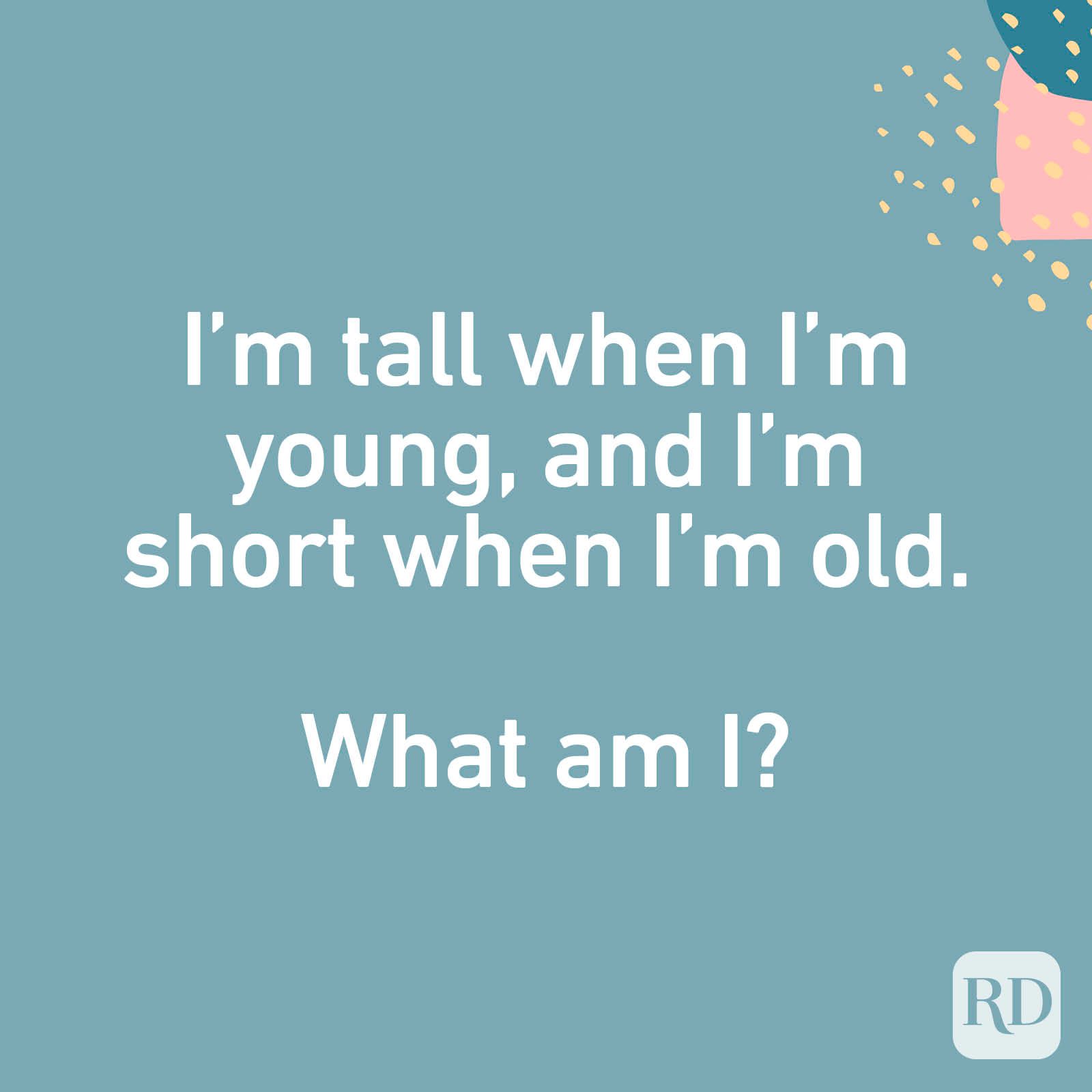 I’m tall when I’m young, and I’m short when I’m old. What am I?