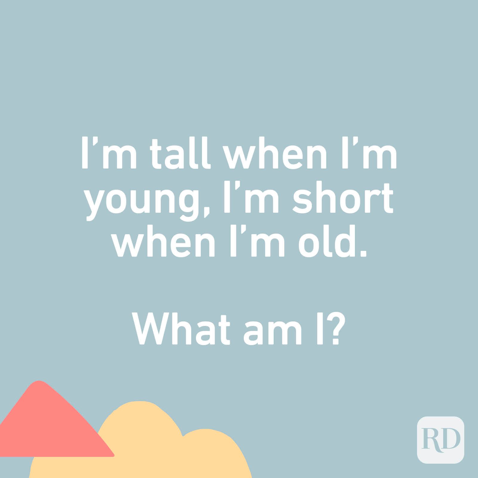 I'm tall when I'm young, I'm short when I'm old. What am I?