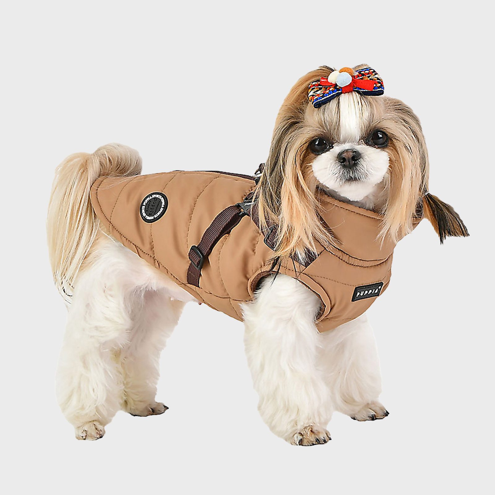 Mountaineer Coat Via Petsmart .jpg