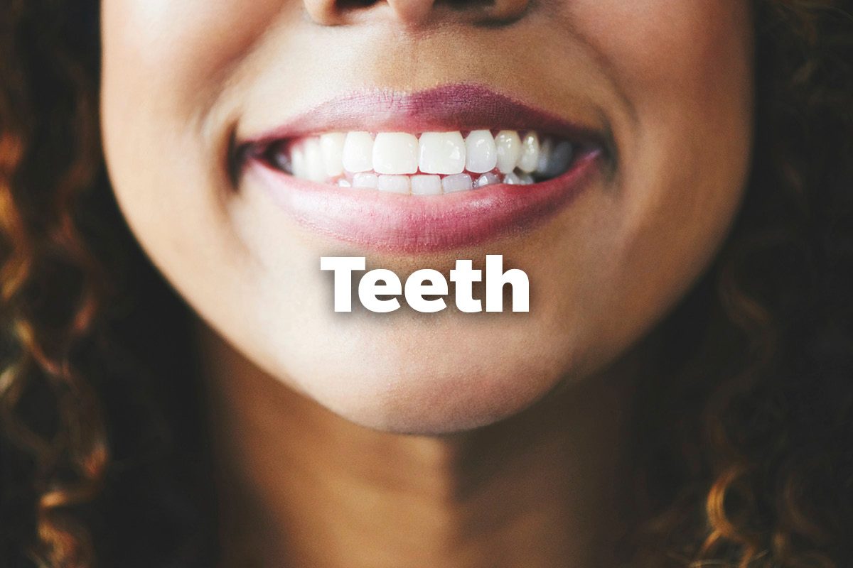 Teeth