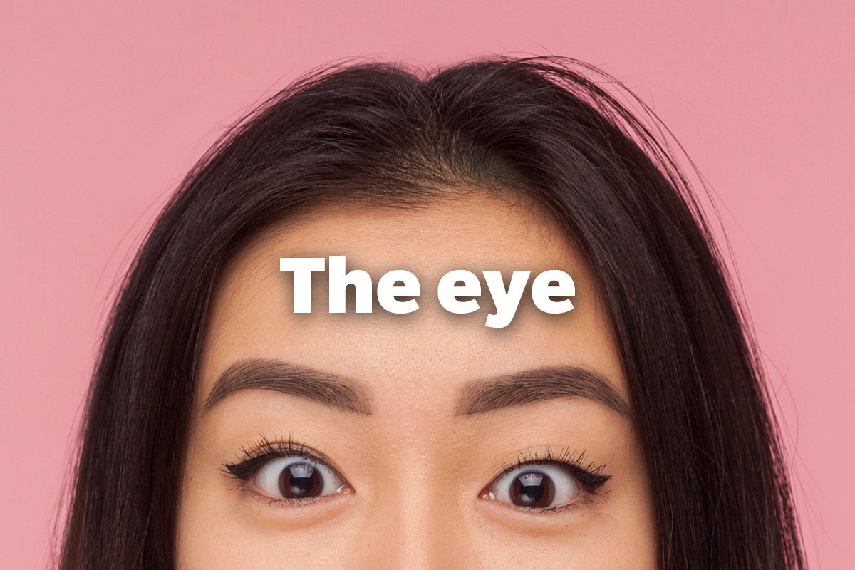 The eye