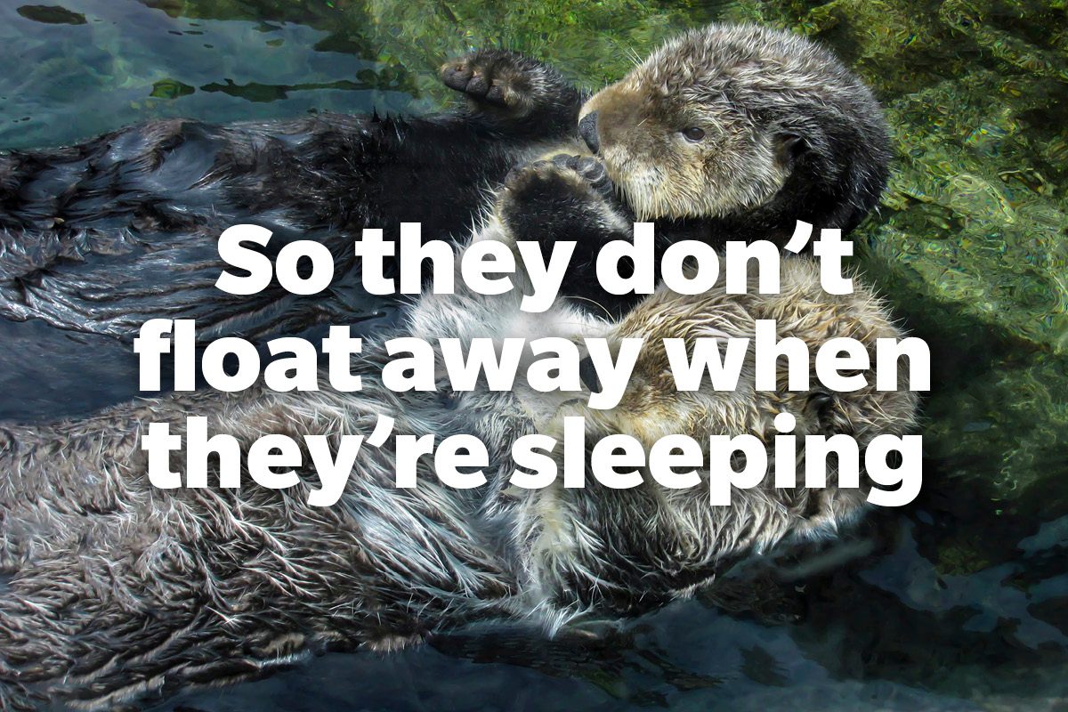 So they don't float away when they're sleeping