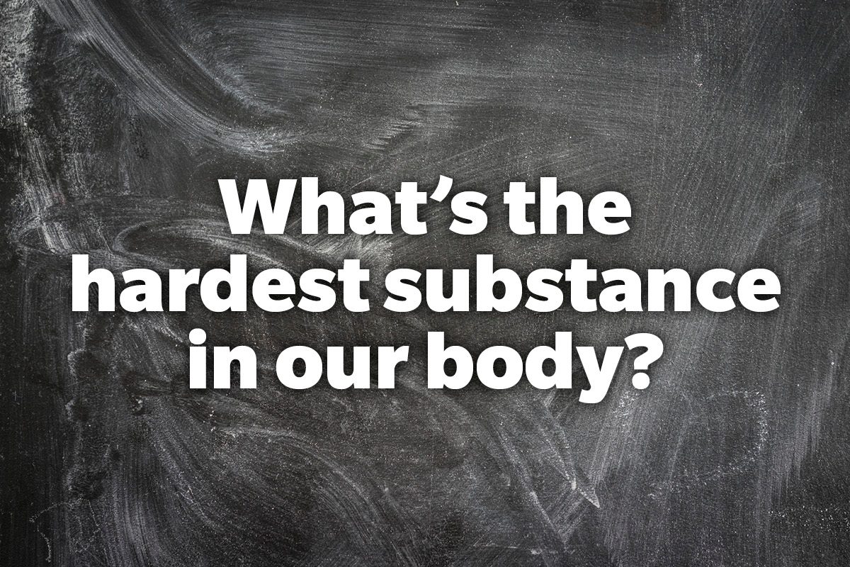What's the hardest substance in our body?