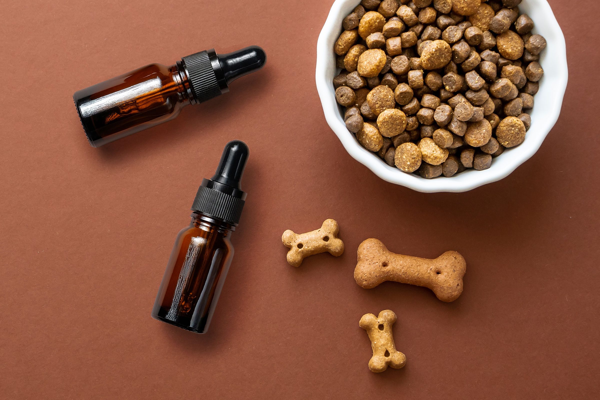 CBD Oil for Dogs: Everything You Need to Know