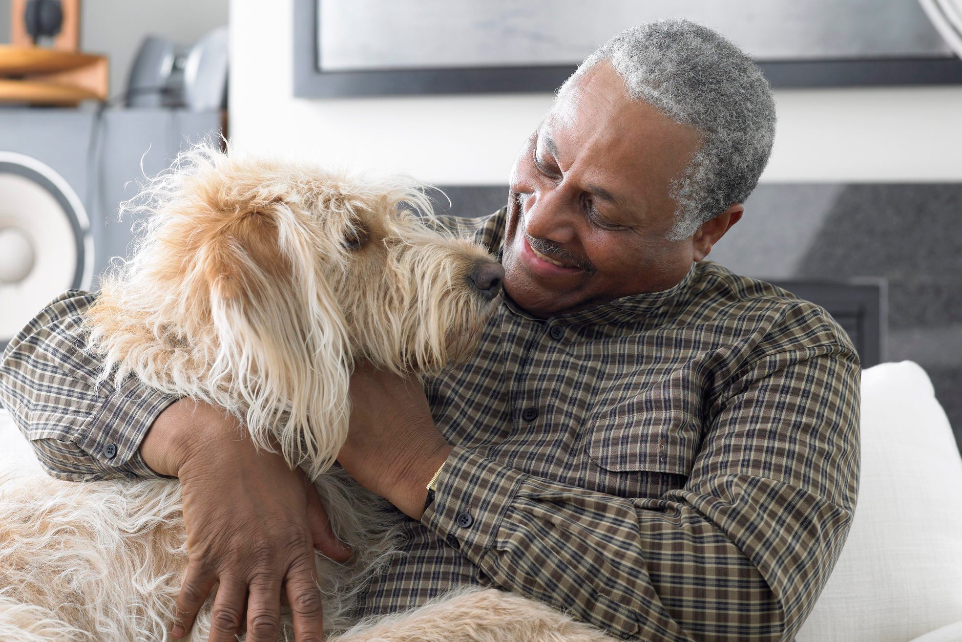 Senior man sitting on sofa, playing with dog, close-up