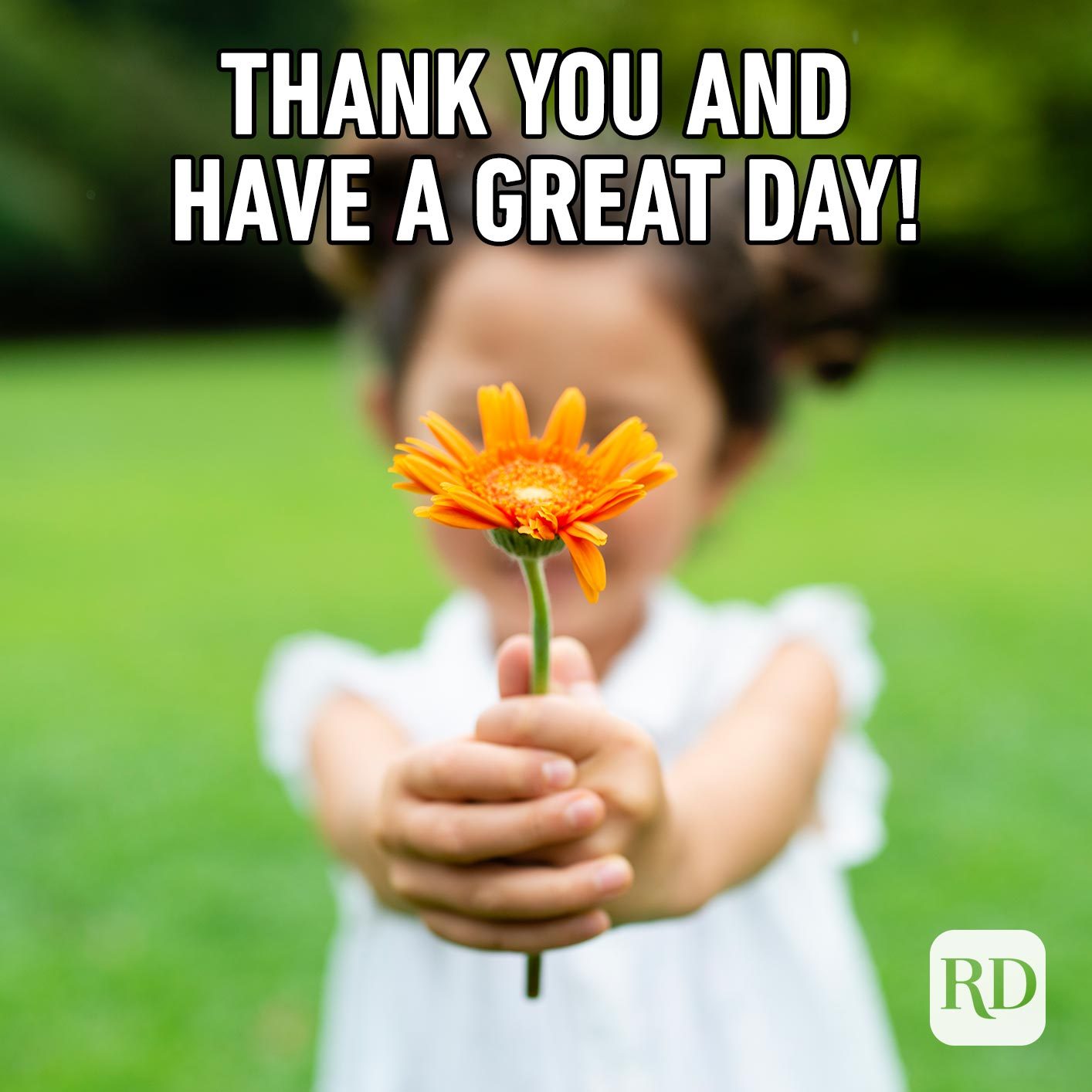Girl offering a flower to the camera. Meme text: Thank you and have a great day!