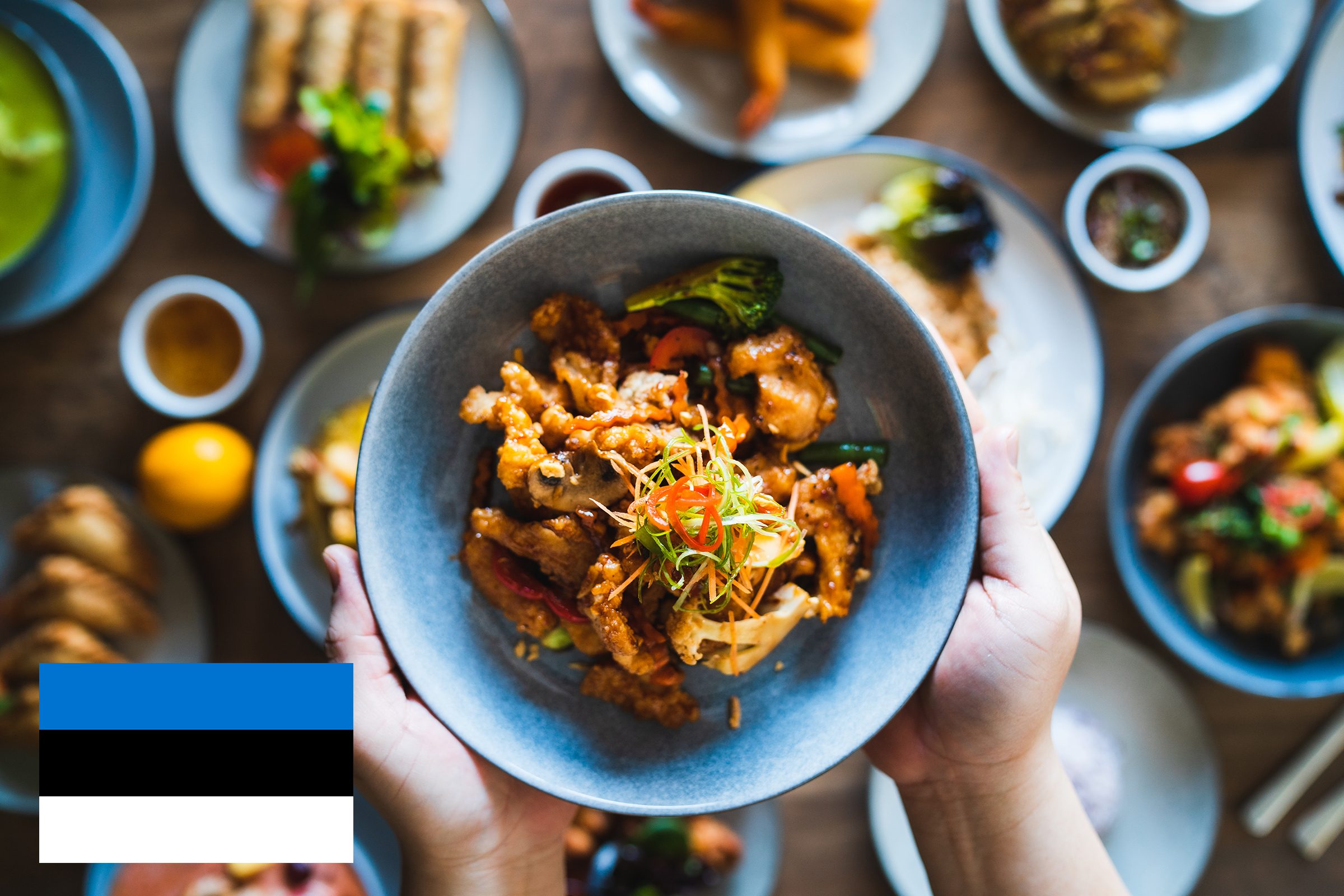 person holding a plate of food with estonia flag