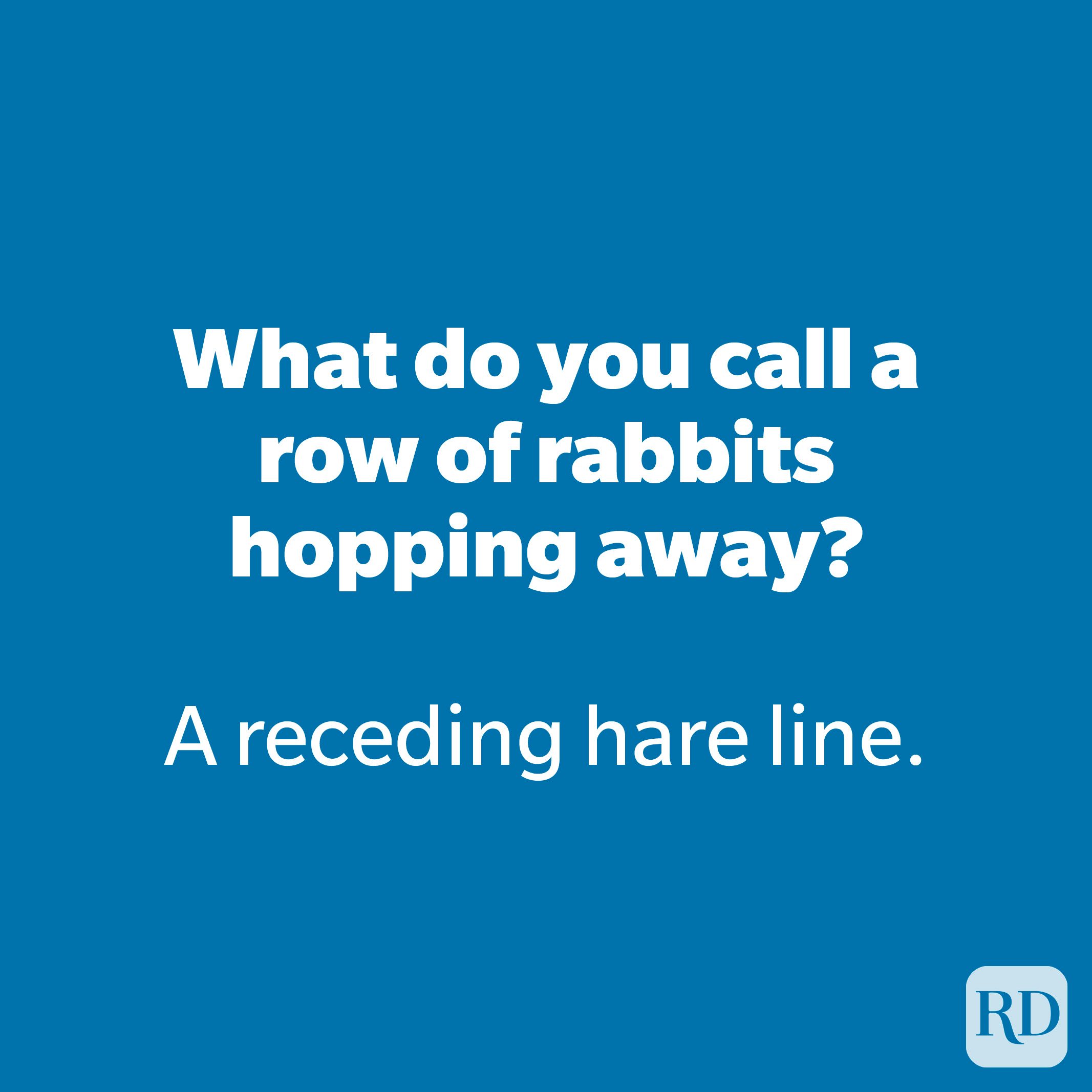 What do you call a row of rabbits hopping away?