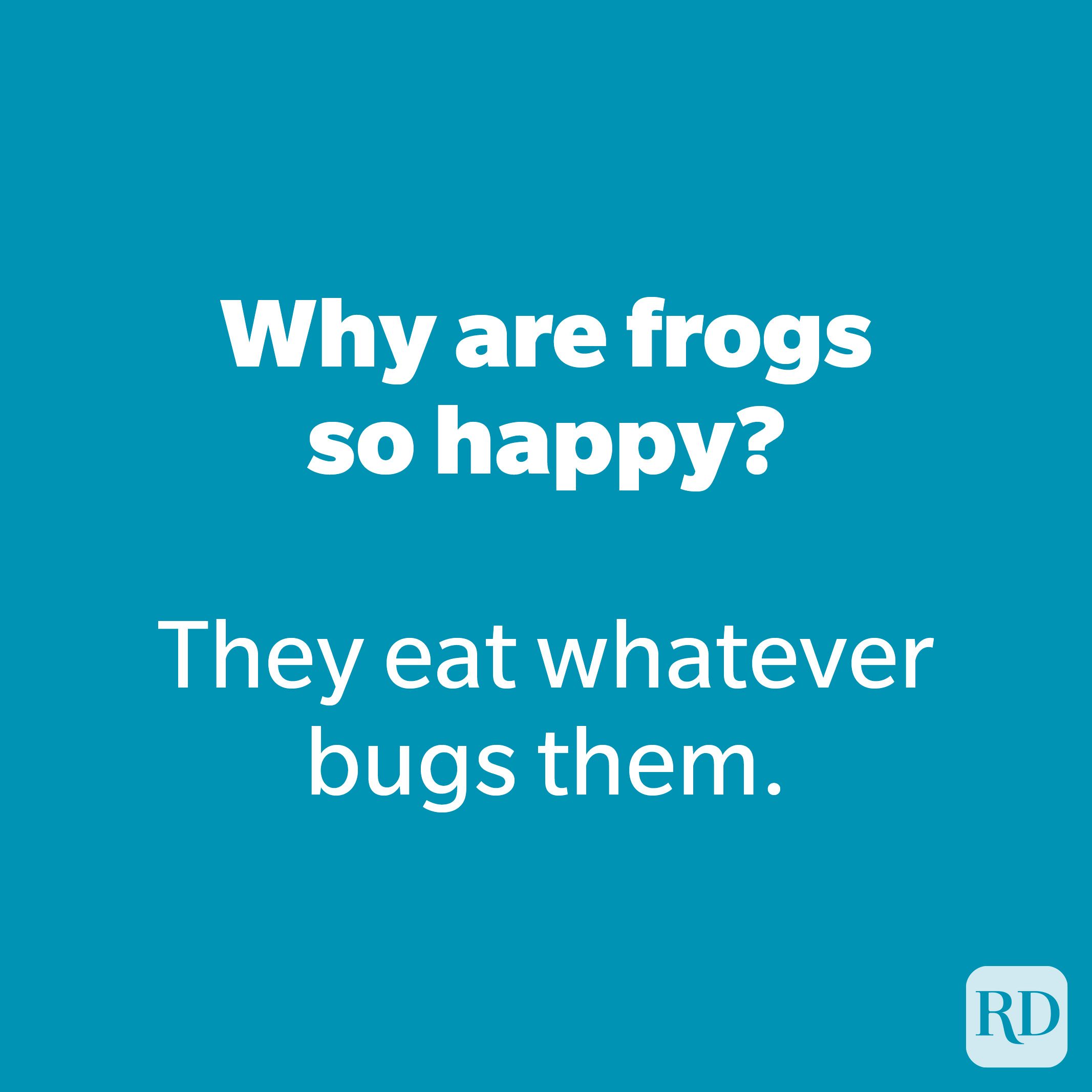 Why are frogs so happy?