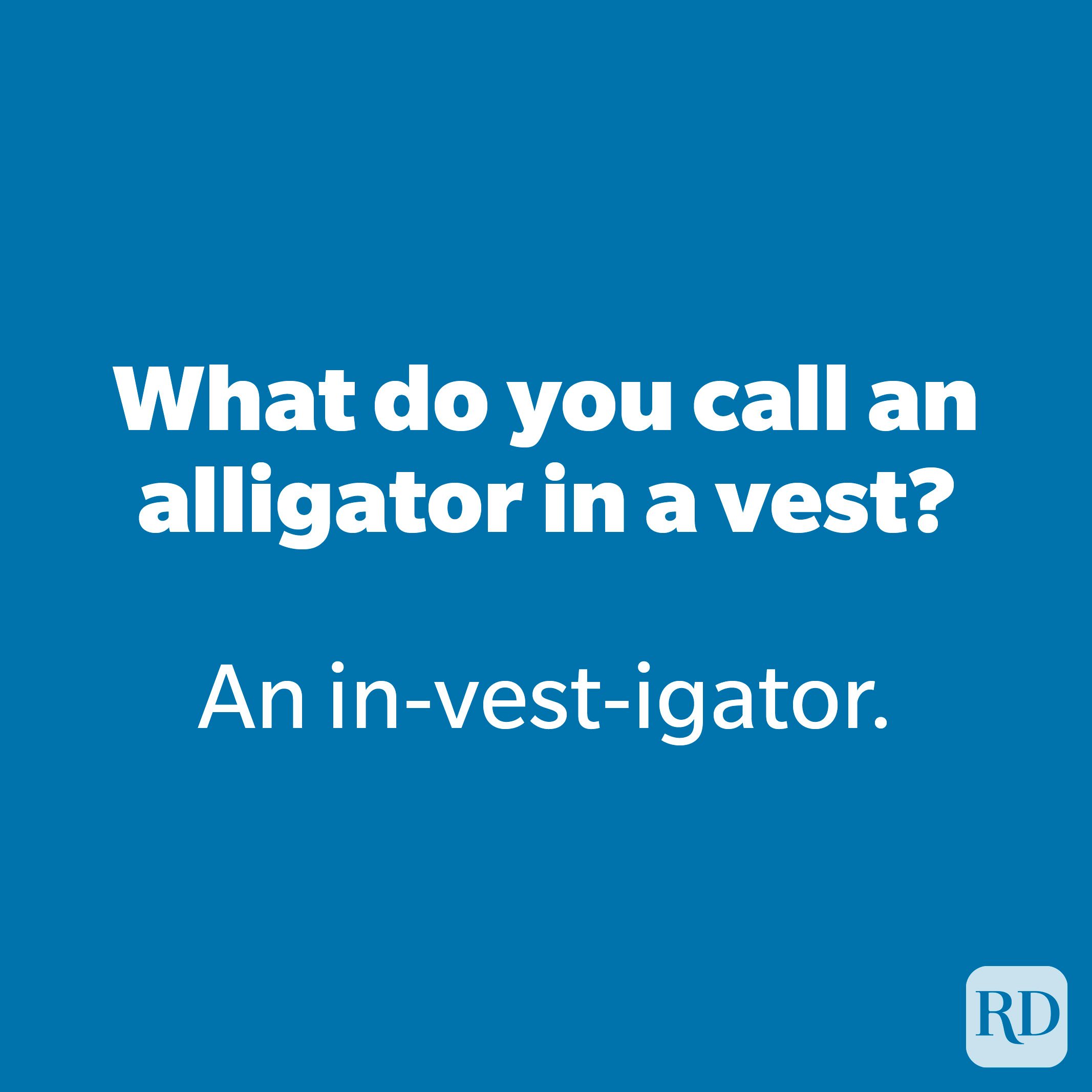 What do you call an alligator in a vest?