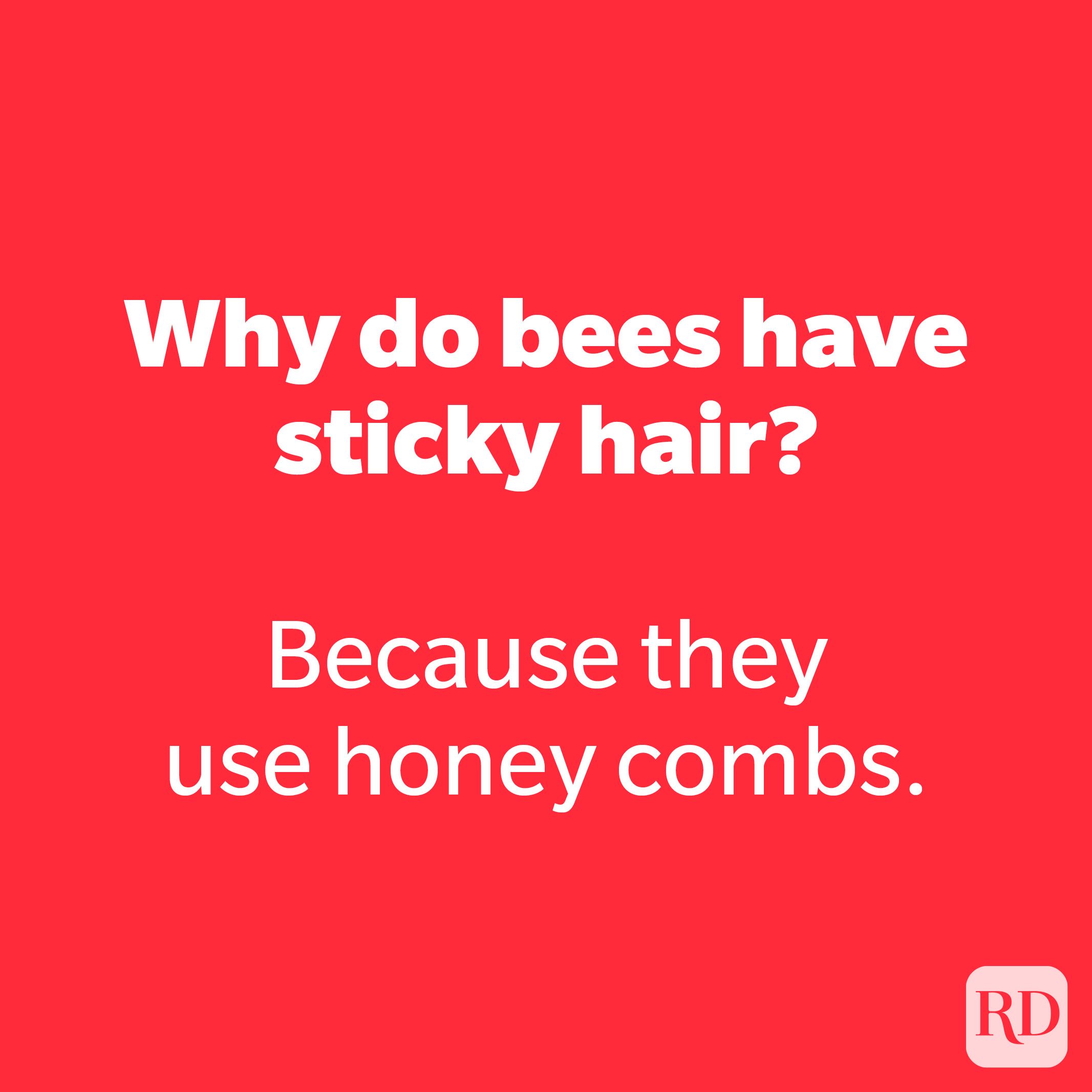 Why do bees have sticky hair?