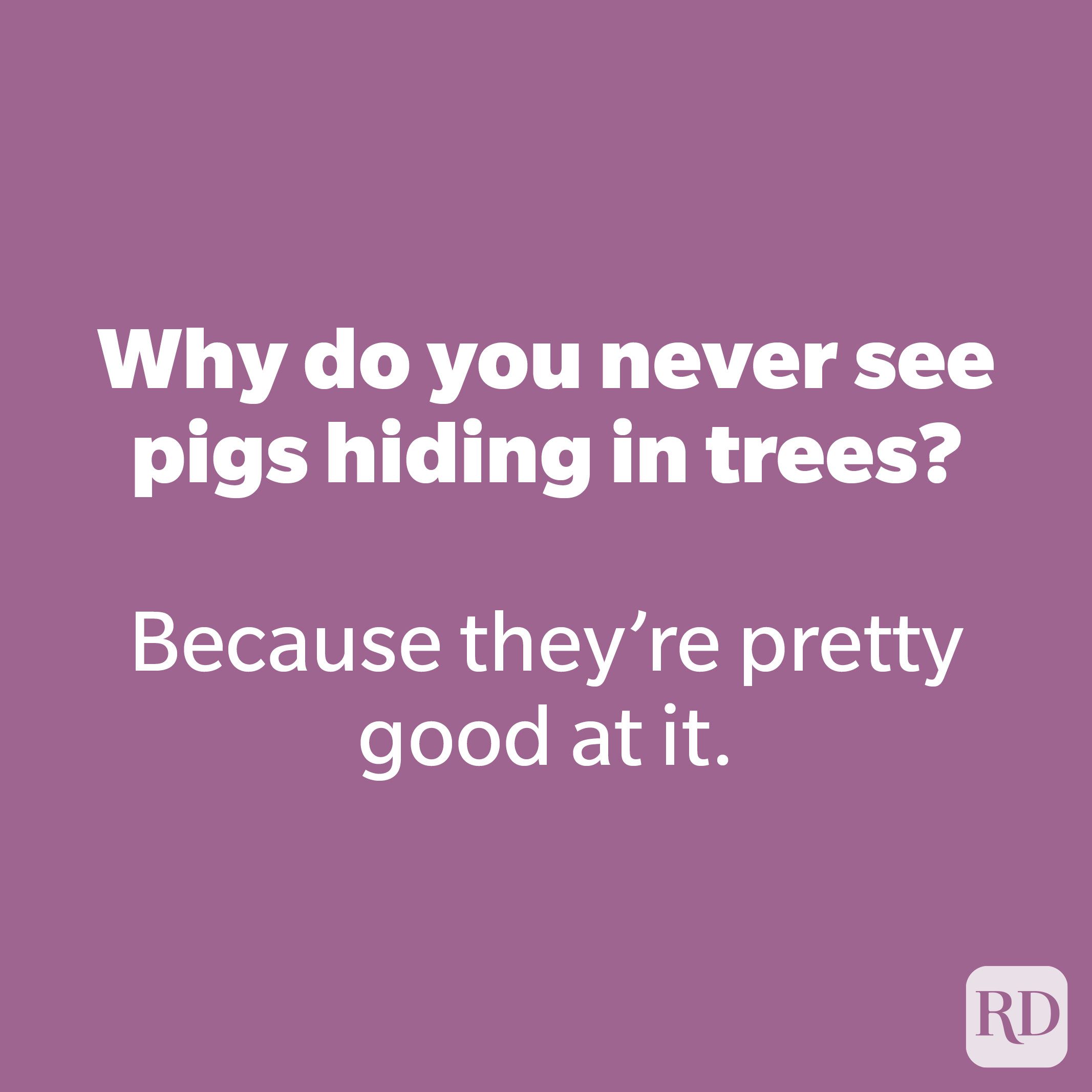 Why do you never see pigs hiding in trees? 