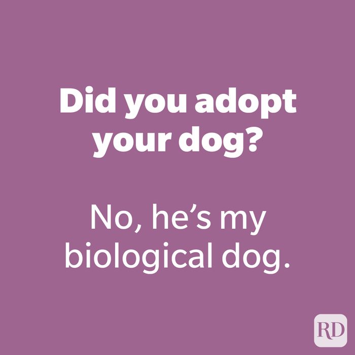 Did you adopt your dog?