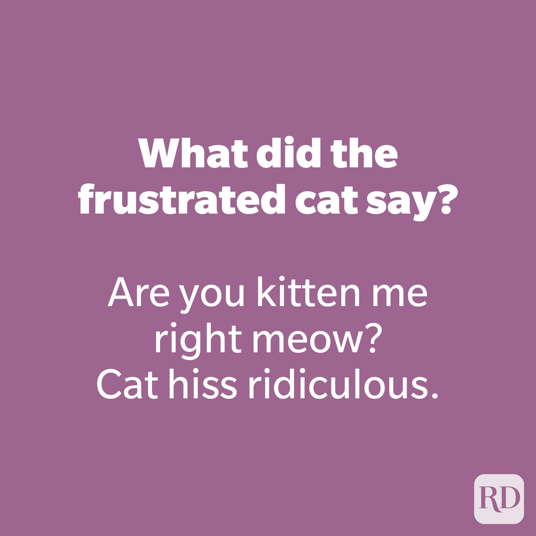 What did the frustrated cat say? 