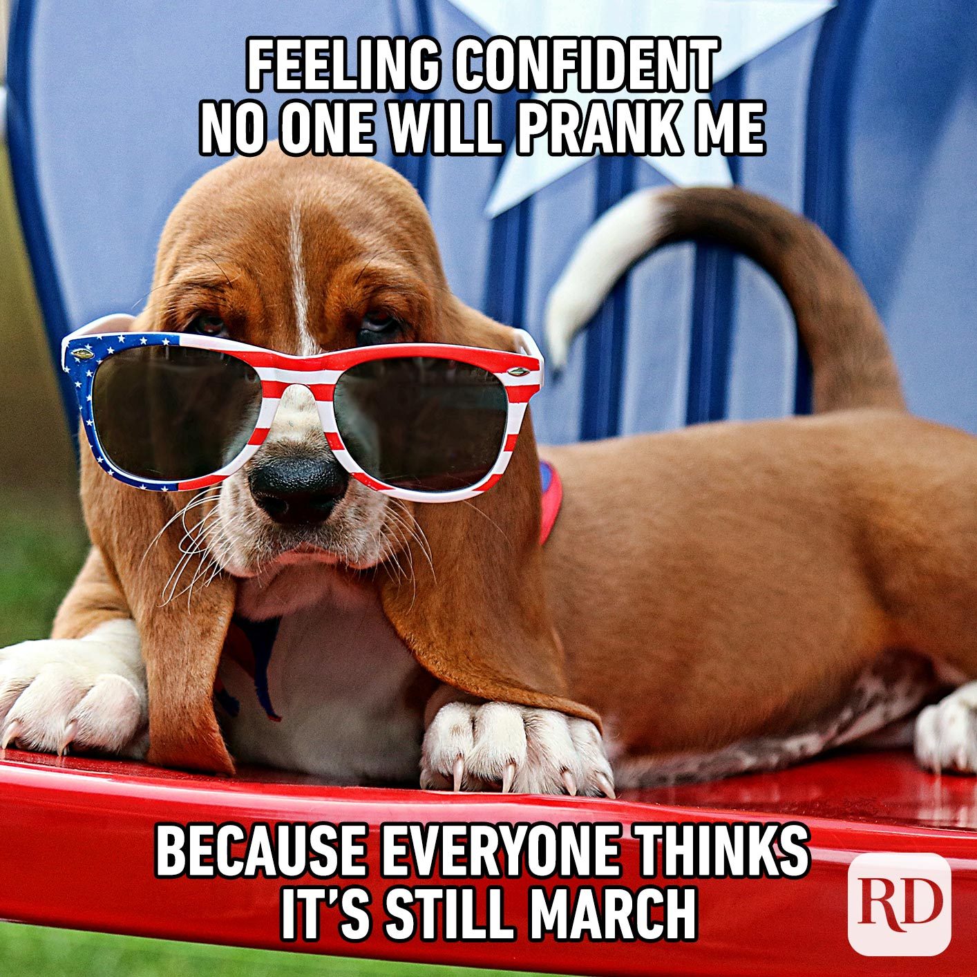 Dog with American flag glasses. Meme text: Feeling confident no one will prank me because everyone thinks it’s still March