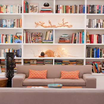 light-filled modernist style living room