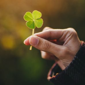 Holding a four-leaf clover