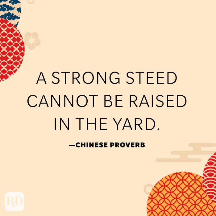 A strong steed cannot be raised in the yard.