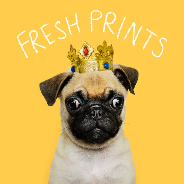 Funny Dog Names 2 Tv Shows Gettyimages 1127552668