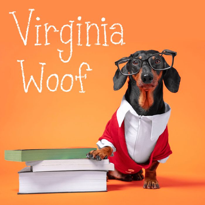 Funny Dog Names 3 Books Gettyimages 1193590306