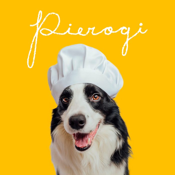 Funny Dog Names 4 Food Gettyimages 1461135960