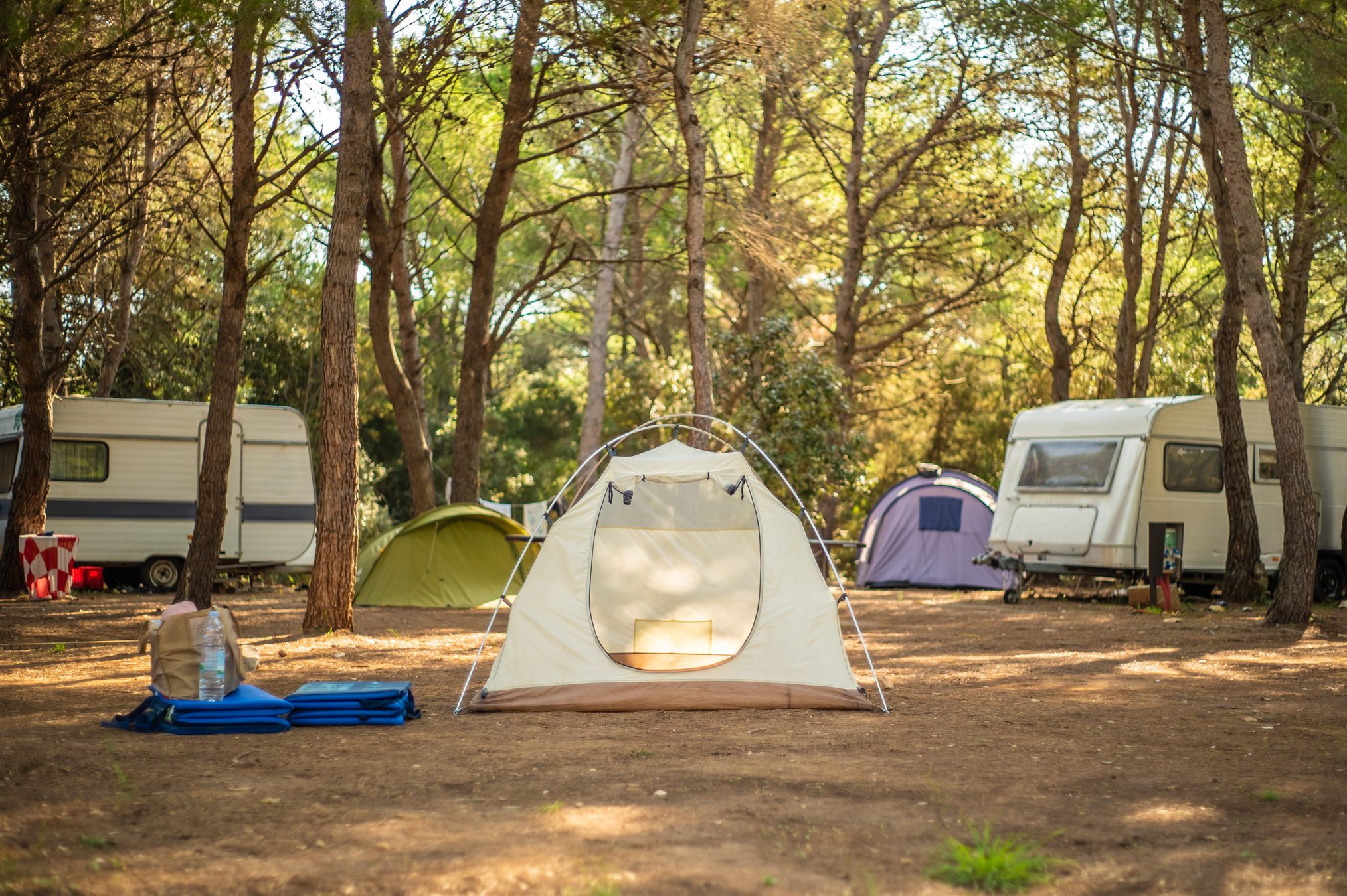 How to Camp for Free in the United States