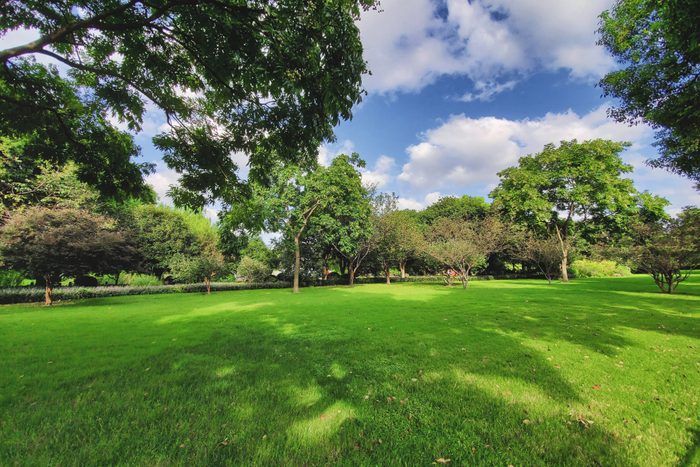 Lawn under the blue sky and white clouds in Hangzhou, China