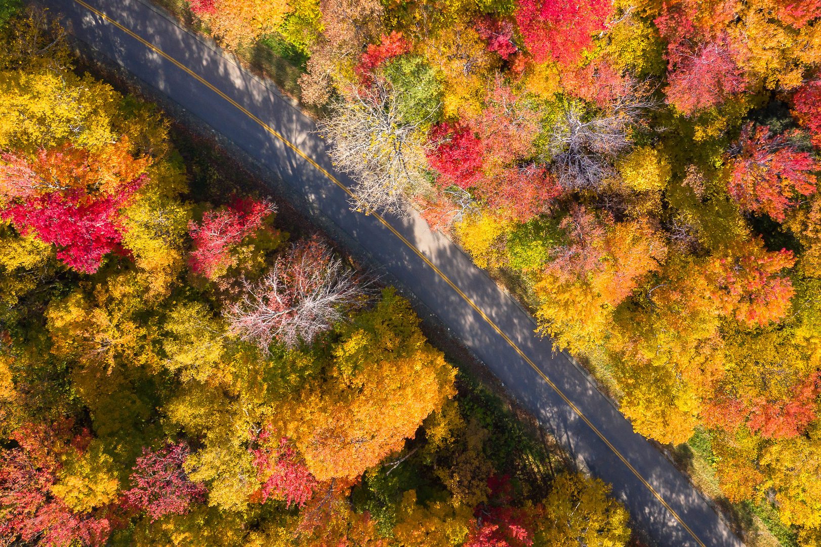 Aerial view of a road through White Mountain National forest, Lincoln, New Hampshire, USA