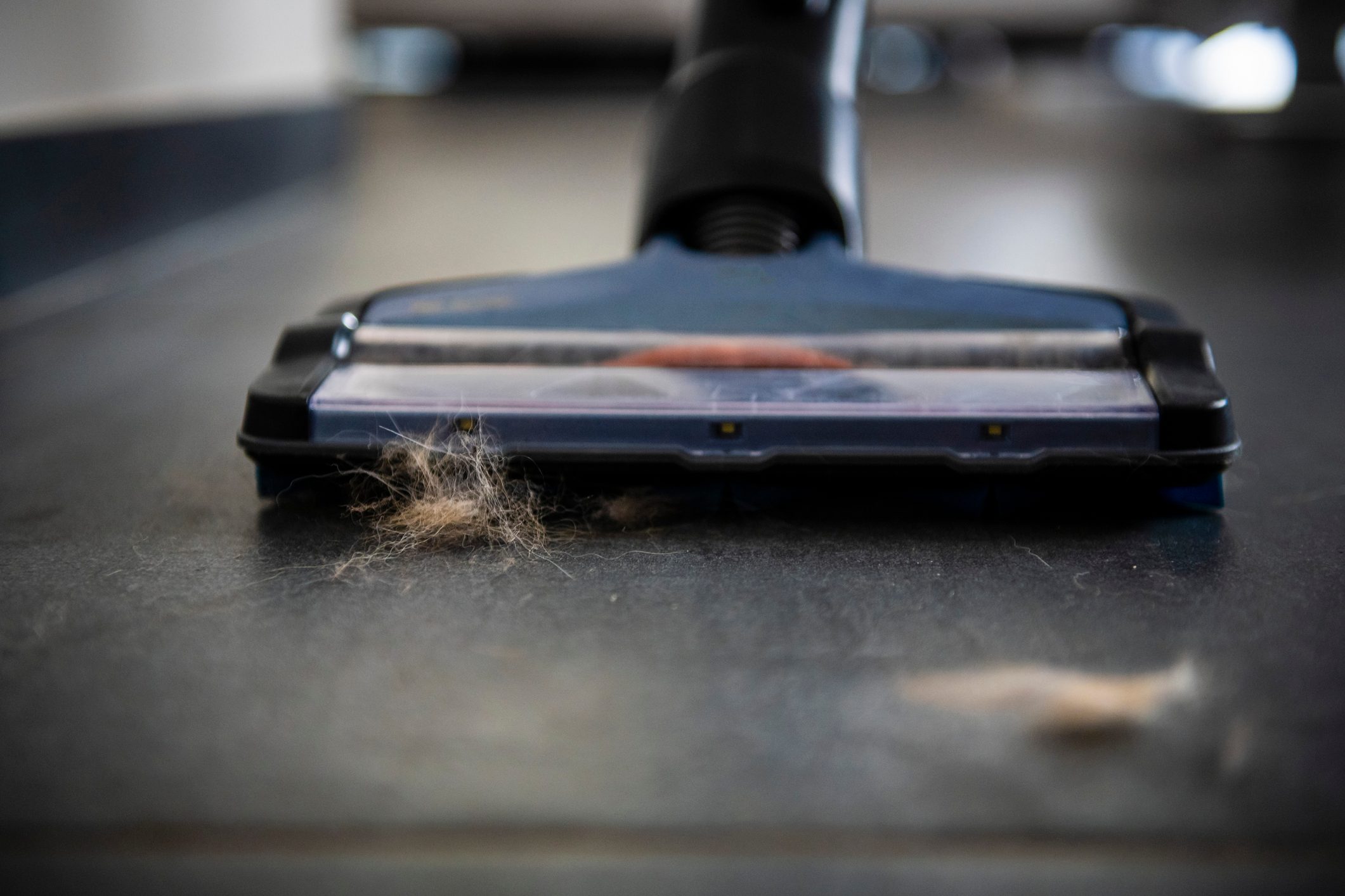 Vacuum cleaner Close up