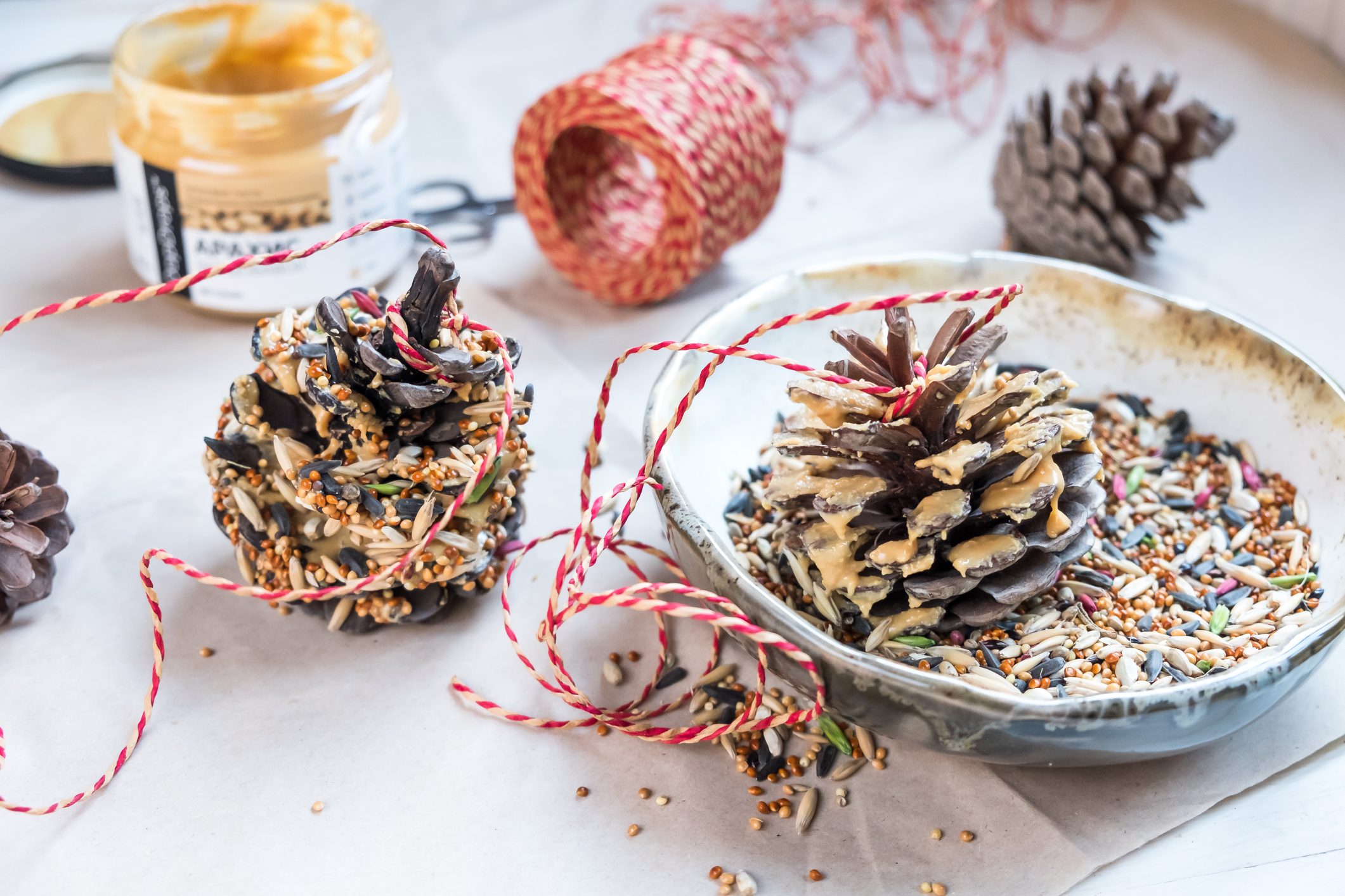 Making nature friendly bird feeders out of pine cones