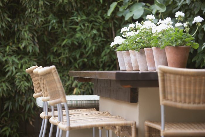 Outdoor bar with potted plants on it