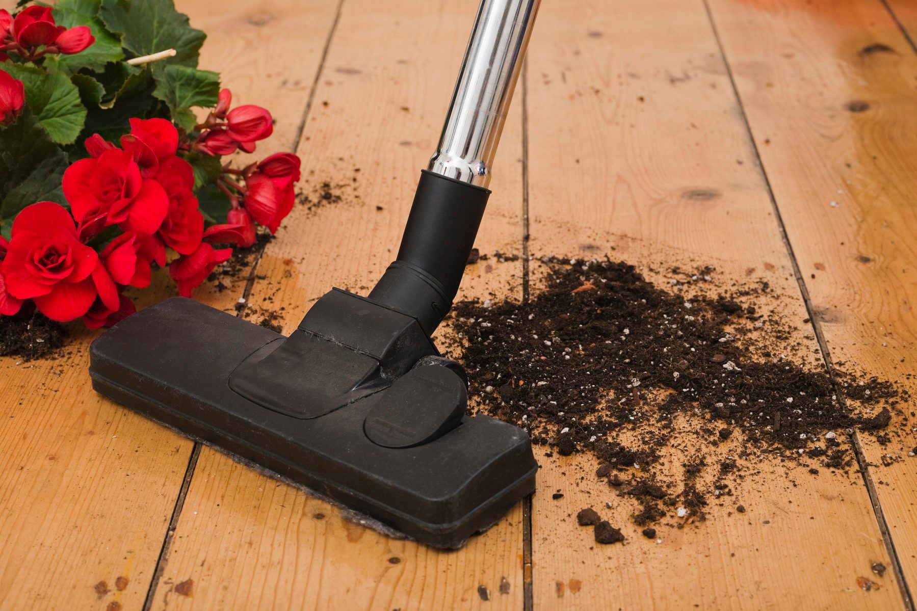 Woman cleaning up soil from fallen plant pot