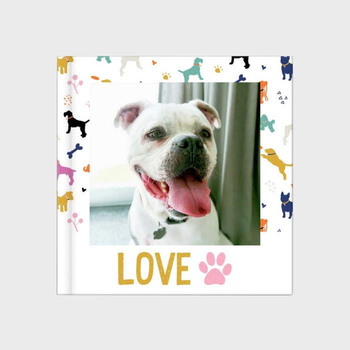 Mixbook Pet Book By Black Lamb Studio